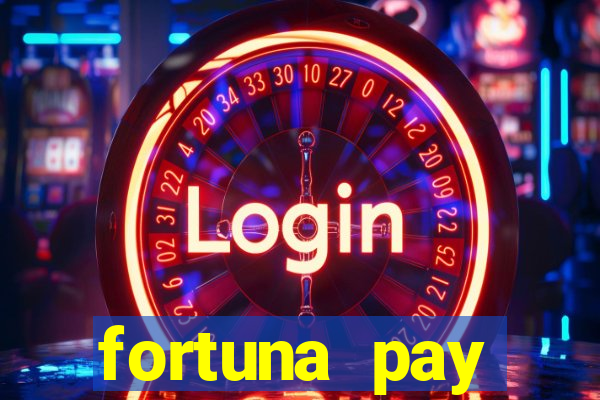 fortuna pay consultoria financeira ltda